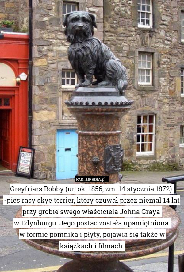 Greyfriars Bobby (ur. ok. 1856, zm. 14 stycznia 1872) 
-pies rasy skye terrier, który czuwał przez niemal 14 lat przy grobie swego właściciela Johna Graya 
w Edynburgu. Jego postać została upamiętniona 
w formie pomnika i płyty, pojawia się także w książkach i filmach. 