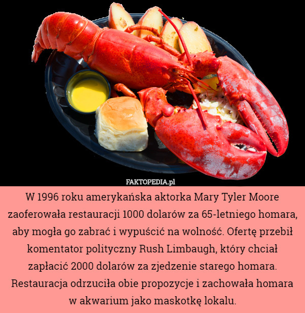 W 1996 roku amerykańska aktorka Mary Tyler Moore zaoferowała restauracji 1000 dolarów za 65-letniego homara, aby mogła go zabrać i wypuścić na wolność. Ofertę przebił komentator polityczny Rush Limbaugh, który chciał zapłacić 2000 dolarów za zjedzenie starego homara.
Restauracja odrzuciła obie propozycje i zachowała homara w akwarium jako maskotkę lokalu. 