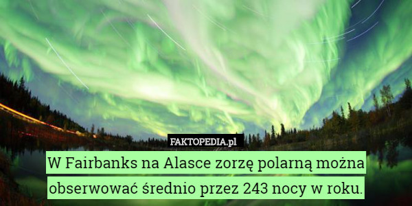W Fairbanks na Alasce zorzę polarną można obserwować średnio przez 243 nocy w roku. 