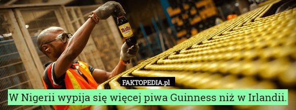 W Nigerii wypija się więcej piwa Guinness niż w Irlandii. 