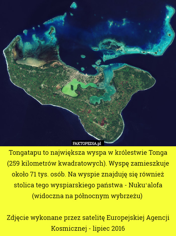 Tongatapu to największa wyspa w królestwie Tonga (259 kilometrów kwadratowych). Wyspę zamieszkuje około 71 tys. osób. Na wyspie znajduję się również stolica tego wyspiarskiego państwa - Nukuʻalofa (widoczna na północnym wybrzeżu) 

Zdjęcie wykonane przez satelitę Europejskiej Agencji Kosmicznej - lipiec 2016 