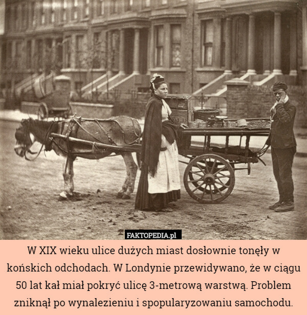 W XIX wieku ulice dużych miast dosłownie tonęły w końskich odchodach. W Londynie przewidywano, że w ciągu 50 lat kał miał pokryć ulicę 3-metrową warstwą. Problem zniknął po wynalezieniu i spopularyzowaniu samochodu. 