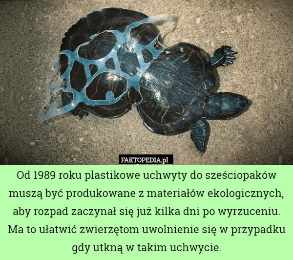 Od 1989 roku plastikowe uchwyty do sześciopaków muszą być produkowane z materiałów ekologicznych, aby rozpad zaczynał się już kilka dni po wyrzuceniu. Ma to ułatwić zwierzętom uwolnienie się w przypadku gdy utkną w takim uchwycie. 