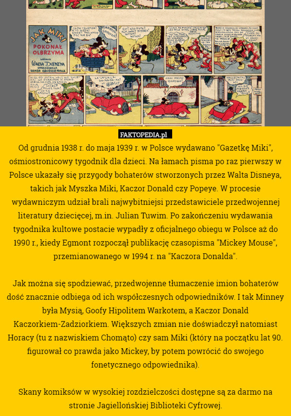 Od grudnia 1938 r. do maja 1939 r. w Polsce wydawano "Gazetkę Miki", ośmiostronicowy tygodnik dla dzieci. Na łamach pisma po raz pierwszy w Polsce ukazały się przygody bohaterów stworzonych przez Walta Disneya, takich jak Myszka Miki, Kaczor Donald czy Popeye. W procesie wydawniczym udział brali najwybitniejsi przedstawiciele przedwojennej literatury dziecięcej, m.in. Julian Tuwim. Po zakończeniu wydawania tygodnika kultowe postacie wypadły z oficjalnego obiegu w Polsce aż do 1990 r., kiedy Egmont rozpoczął publikację czasopisma "Mickey Mouse", przemianowanego w 1994 r. na "Kaczora Donalda".

Jak można się spodziewać, przedwojenne tłumaczenie imion bohaterów dość znacznie odbiega od ich współczesnych odpowiedników. I tak Minney była Mysią, Goofy Hipolitem Warkotem, a Kaczor Donald Kaczorkiem-Zadziorkiem. Większych zmian nie doświadczył natomiast Horacy (tu z nazwiskiem Chomąto) czy sam Miki (który na początku lat 90. figurował co prawda jako Mickey, by potem powrócić do swojego fonetycznego odpowiednika).

Skany komiksów w wysokiej rozdzielczości dostępne są za darmo na stronie Jagiellońskiej Biblioteki Cyfrowej. 