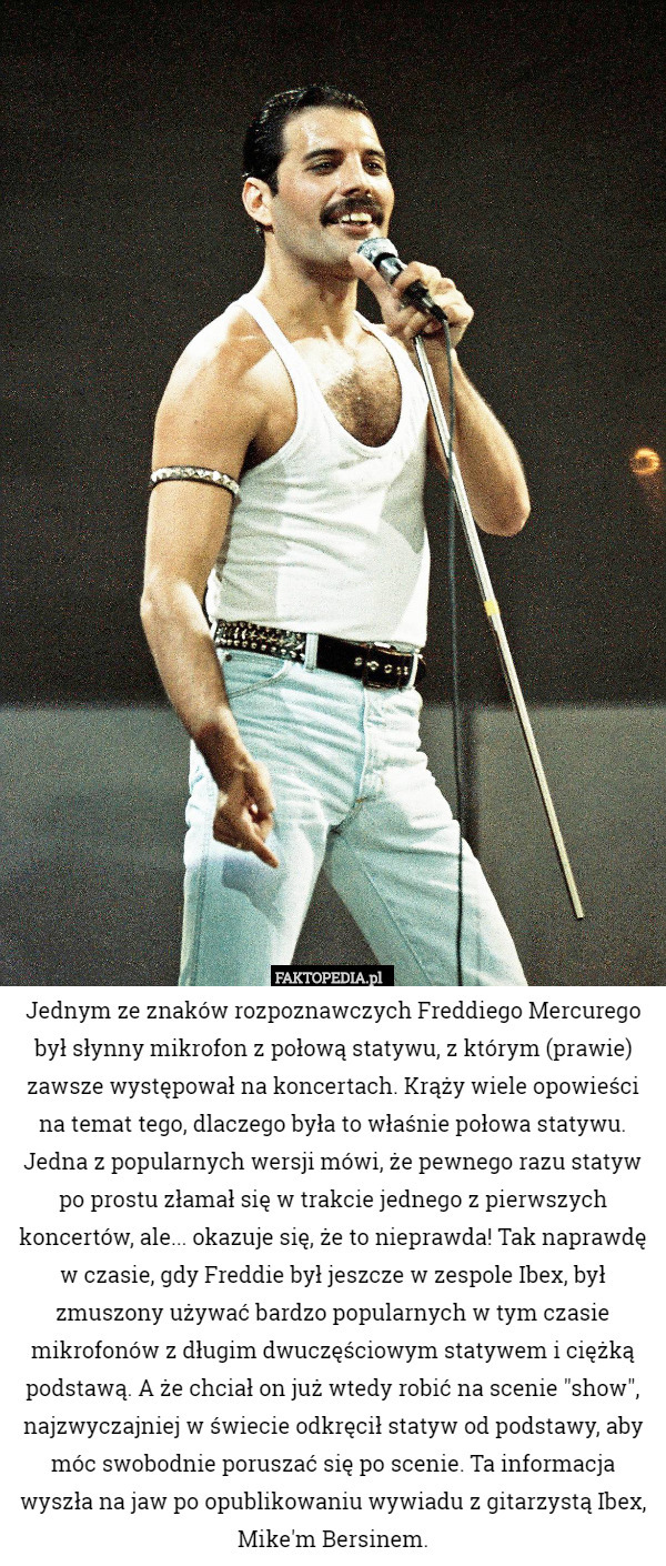 Jednym ze znaków rozpoznawczych Freddiego Mercurego był słynny mikrofon z połową statywu, z którym (prawie) zawsze występował na koncertach. Krąży wiele opowieści na temat tego, dlaczego była to właśnie połowa statywu. Jedna z popularnych wersji mówi, że pewnego razu statyw po prostu złamał się w trakcie jednego z pierwszych koncertów, ale... okazuje się, że to nieprawda! Tak naprawdę w czasie, gdy Freddie był jeszcze w zespole Ibex, był zmuszony używać bardzo popularnych w tym czasie mikrofonów z długim dwuczęściowym statywem i ciężką podstawą. A że chciał on już wtedy robić na scenie "show", najzwyczajniej w świecie odkręcił statyw od podstawy, aby móc swobodnie poruszać się po scenie. Ta informacja wyszła na jaw po opublikowaniu wywiadu z gitarzystą Ibex, Mike'm Bersinem. 