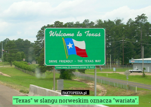 "Texas" w slangu norweskim oznacza "wariata". 