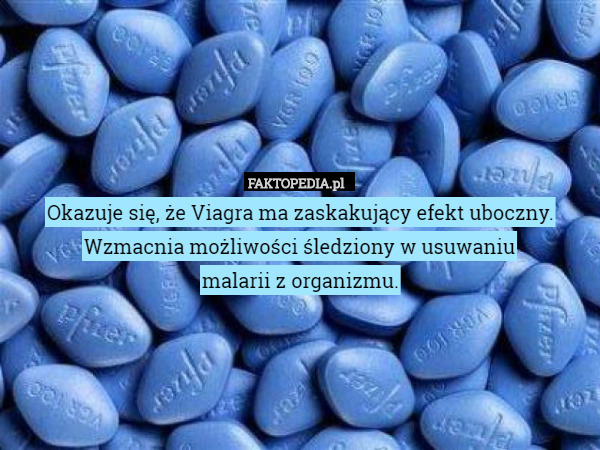 Okazuje się, że Viagra ma zaskakujący efekt uboczny. Wzmacnia możliwości śledziony w usuwaniu
malarii z organizmu. 