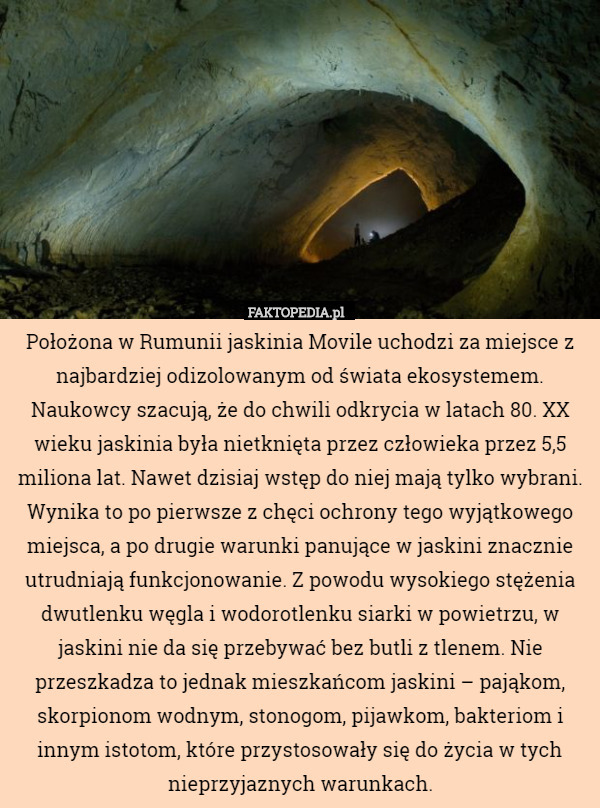 Położona w Rumunii jaskinia Movile uchodzi za miejsce z najbardziej odizolowanym od świata ekosystemem. Naukowcy szacują, że do chwili odkrycia w latach 80. XX wieku jaskinia była nietknięta przez człowieka przez 5,5 miliona lat. Nawet dzisiaj wstęp do niej mają tylko wybrani. Wynika to po pierwsze z chęci ochrony tego wyjątkowego miejsca, a po drugie warunki panujące w jaskini znacznie utrudniają funkcjonowanie. Z powodu wysokiego stężenia dwutlenku węgla i wodorotlenku siarki w powietrzu, w jaskini nie da się przebywać bez butli z tlenem. Nie przeszkadza to jednak mieszkańcom jaskini – pająkom, skorpionom wodnym, stonogom, pijawkom, bakteriom i innym istotom, które przystosowały się do życia w tych nieprzyjaznych warunkach. 