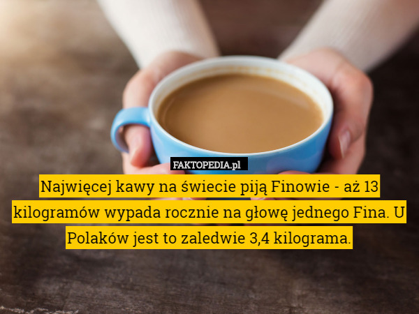 Najwięcej kawy na świecie piją Finowie - aż 13 kilogramów wypada rocznie na głowę jednego Fina. U Polaków jest to zaledwie 3,4 kilograma. 