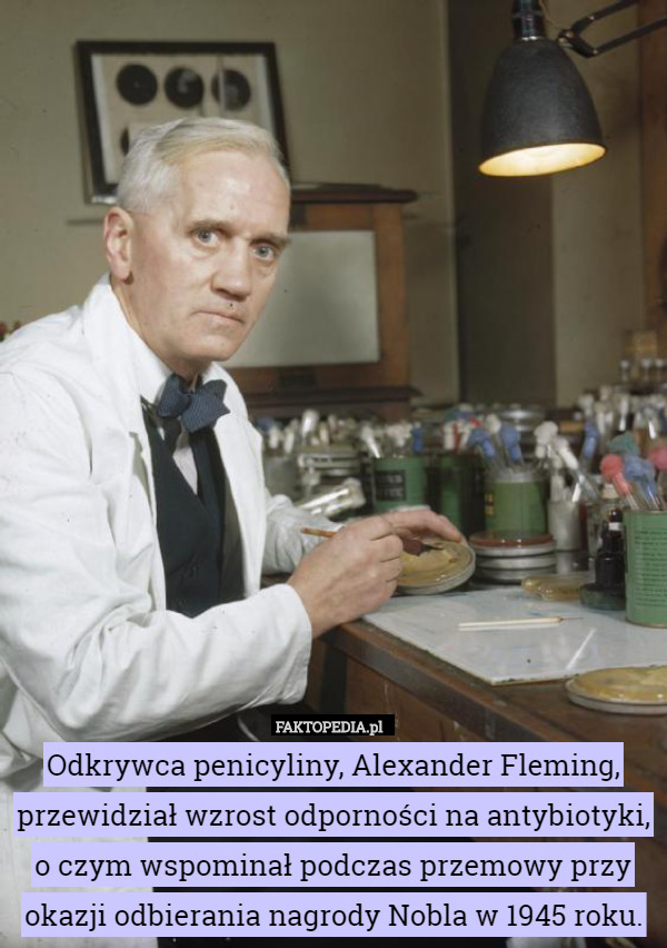 Odkrywca penicyliny, Alexander Fleming, przewidział wzrost odporności na antybiotyki, o czym wspominał podczas przemowy przy okazji odbierania nagrody Nobla w 1945 roku. 