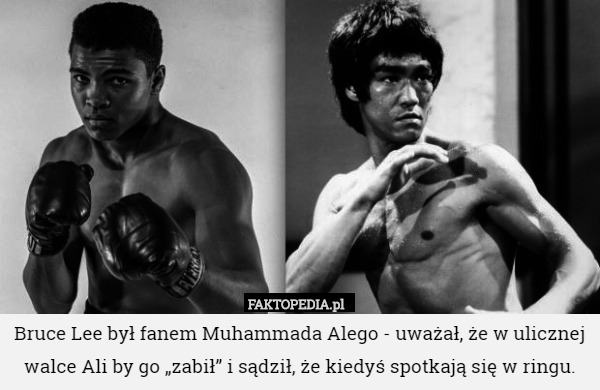 Bruce Lee był fanem Muhammada Alego - uważał, że w ulicznej walce Ali by go „zabił” i sądził, że kiedyś spotkają się w ringu. 