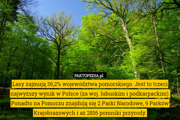 Lasy zajmują 36,2% województwa pomorskiego. Jest to trzeci najwyższy wynik w Polsce (za woj. lubuskim i podkarpackim). Ponadto na Pomorzu znajdują się 2 Parki Narodowe, 9 Parków Krajobrazowych i aż 2816 pomniki przyrody. 