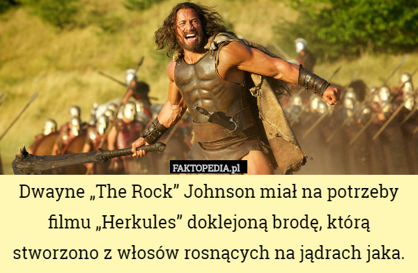 Dwayne „The Rock” Johnson miał na potrzeby filmu „Herkules” doklejoną brodę, którą stworzono z włosów rosnących na jądrach jaka. 