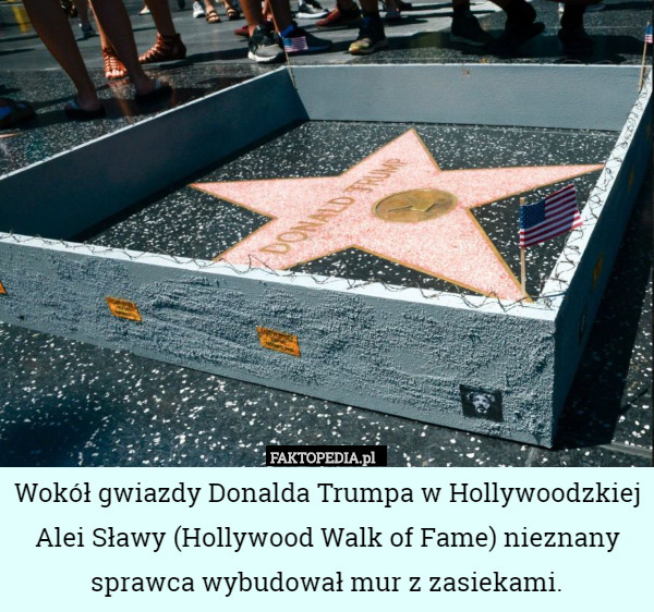 Wokół gwiazdy Donalda Trumpa w Hollywoodzkiej Alei Sławy (Hollywood Walk of Fame) nieznany sprawca wybudował mur z zasiekami. 