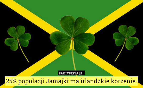 25% populacji Jamajki ma irlandzkie korzenie. 