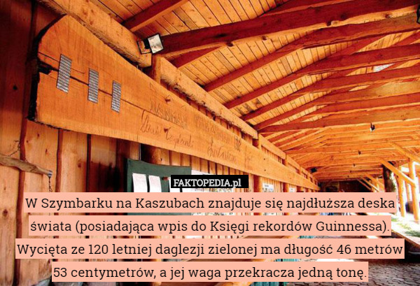 W Szymbarku na Kaszubach znajduje się najdłuższa deska świata (posiadająca wpis do Księgi rekordów Guinnessa). Wycięta ze 120 letniej daglezji zielonej ma długość 46 metrów 53 centymetrów, a jej waga przekracza jedną tonę. 