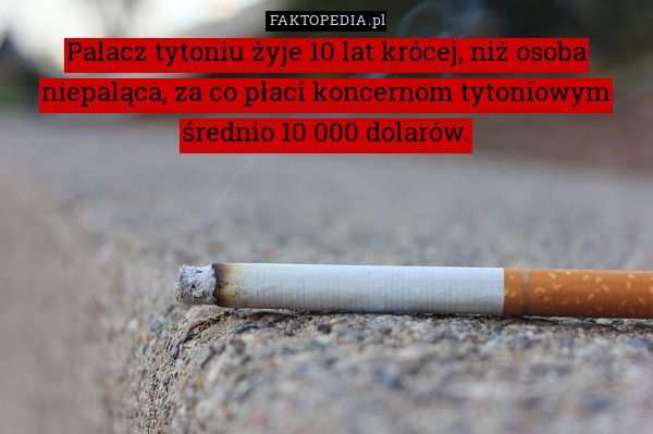 Palacz tytoniu żyje 10 lat krócej, niż osoba niepaląca, za co płaci koncernom tytoniowym średnio 10 000 dolarów. 