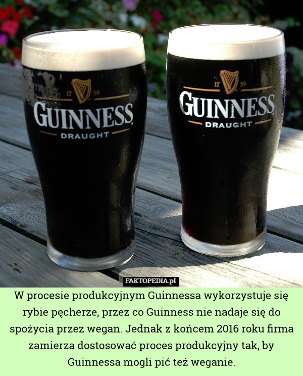 W procesie produkcyjnym Guinnessa wykorzystuje się rybie pęcherze, przez co Guinness nie nadaje się do spożycia przez wegan. Jednak z końcem 2016 roku firma zamierza dostosować proces produkcyjny tak, by Guinnessa mogli pić też weganie. 