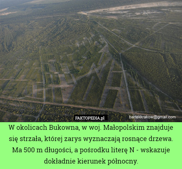W okolicach Bukowna, w woj. Małopolskim znajduje się strzała, której zarys wyznaczają rosnące drzewa. Ma 500 m długości, a pośrodku literę N - wskazuje dokładnie kierunek północny. 