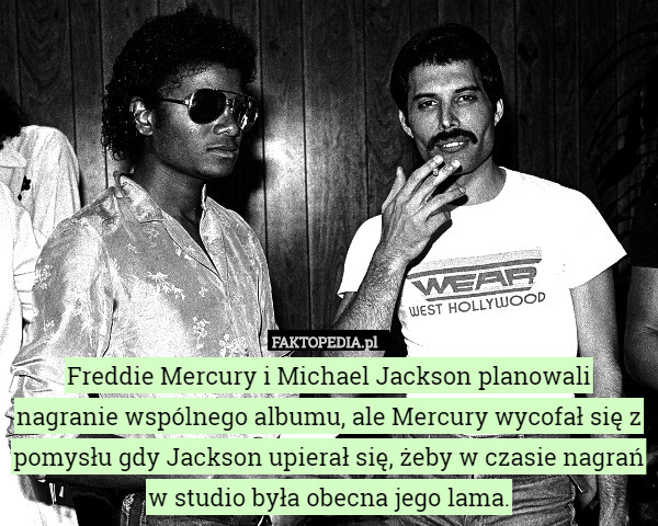 Freddie Mercury i Michael Jackson planowali nagranie wspólnego albumu, ale Mercury wycofał się z pomysłu gdy Jackson upierał się, żeby w czasie nagrań w studio była obecna jego lama. 