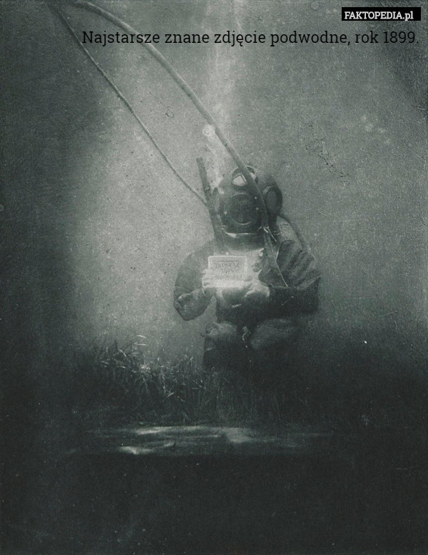 Najstarsze znane zdjęcie podwodne, rok 1899. 