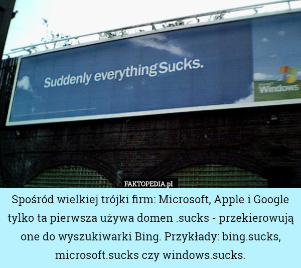 Spośród wielkiej trójki firm: Microsoft, Apple i Google tylko ta pierwsza używa domen .sucks - przekierowują one do wyszukiwarki Bing. Przykłady: bing.sucks, microsoft.sucks czy windows.sucks. 