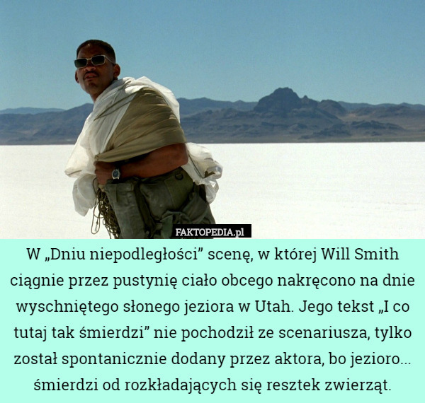 W „Dniu niepodległości” scenę, w której Will Smith ciągnie przez pustynię ciało obcego nakręcono na dnie wyschniętego słonego jeziora w Utah. Jego tekst „I co tutaj tak śmierdzi” nie pochodził ze scenariusza, tylko został spontanicznie dodany przez aktora, bo jezioro... śmierdzi od rozkładających się resztek zwierząt. 