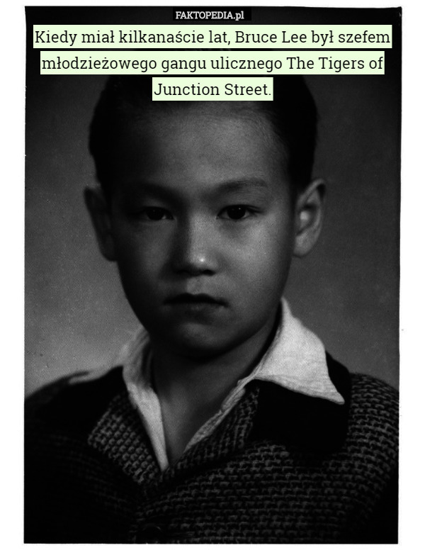 Kiedy miał kilkanaście lat, Bruce Lee był szefem młodzieżowego gangu ulicznego The Tigers of Junction Street. 