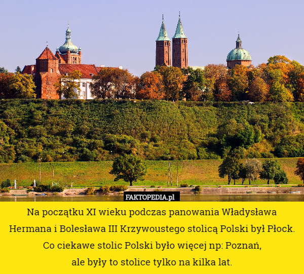 Na początku XI wieku podczas panowania Władysława Hermana i Bolesława III Krzywoustego stolicą Polski był Płock.
Co ciekawe stolic Polski było więcej np: Poznań,
 ale były to stolice tylko na kilka lat. 