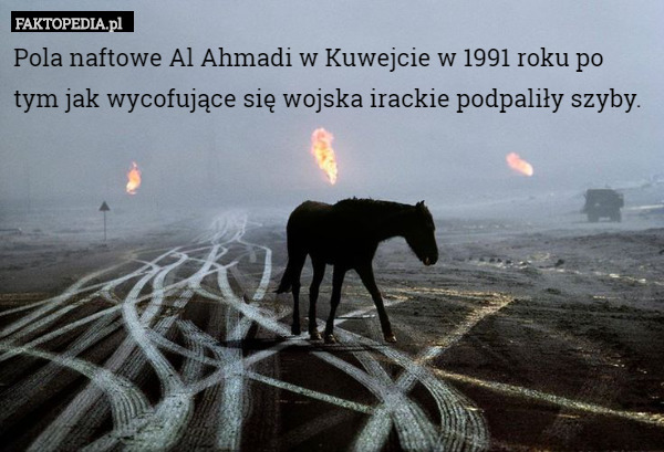 Pola naftowe Al Ahmadi w Kuwejcie w 1991 roku po tym jak wycofujące się wojska irackie podpaliły szyby. 
