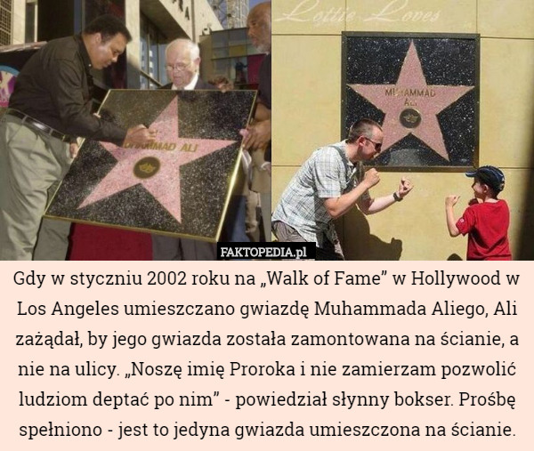 Gdy w styczniu 2002 roku na „Walk of Fame” w Hollywood w Los Angeles umieszczano gwiazdę Muhammada Aliego, Ali zażądał, by jego gwiazda została zamontowana na ścianie, a nie na ulicy. „Noszę imię Proroka i nie zamierzam pozwolić ludziom deptać po nim” - powiedział słynny bokser. Prośbę spełniono - jest to jedyna gwiazda umieszczona na ścianie. 