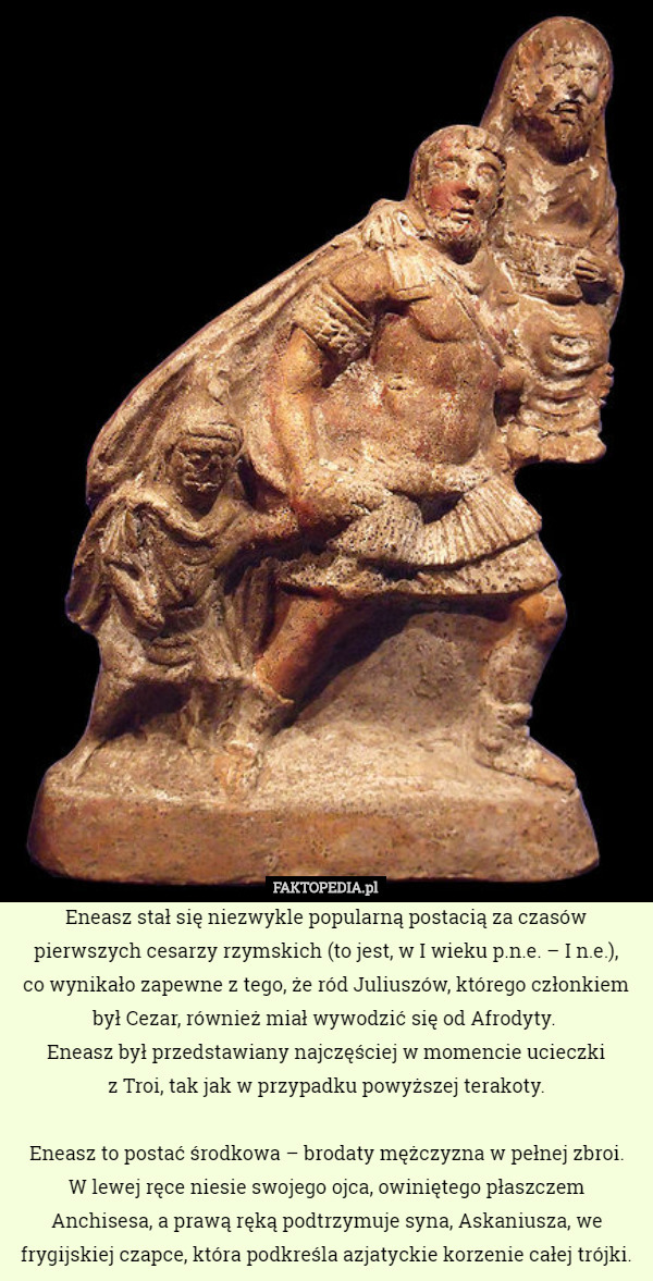 Eneasz stał się niezwykle popularną postacią za czasów pierwszych cesarzy rzymskich (to jest, w I wieku p.n.e. – I n.e.),
 co wynikało zapewne z tego, że ród Juliuszów, którego członkiem był Cezar, również miał wywodzić się od Afrodyty. 
Eneasz był przedstawiany najczęściej w momencie ucieczki
 z Troi, tak jak w przypadku powyższej terakoty.

 Eneasz to postać środkowa – brodaty mężczyzna w pełnej zbroi.
 W lewej ręce niesie swojego ojca, owiniętego płaszczem Anchisesa, a prawą ręką podtrzymuje syna, Askaniusza, we frygijskiej czapce, która podkreśla azjatyckie korzenie całej trójki. 