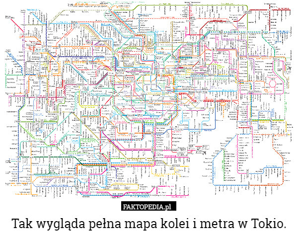 Tak wygląda pełna mapa kolei i metra w Tokio. 