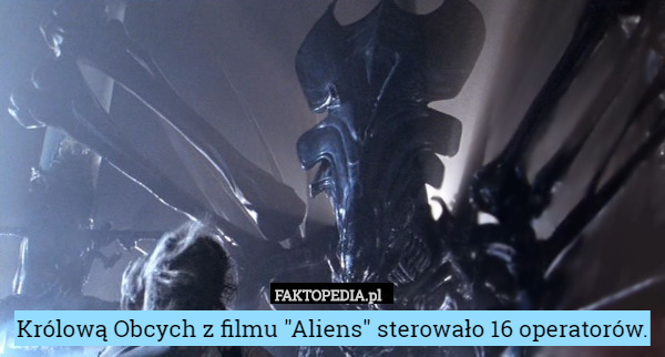Królową Obcych z filmu "Aliens" sterowało 16 operatorów. 