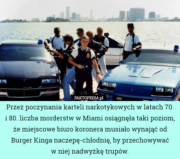 Przez poczynania karteli narkotykowych w latach 70.
i 80. liczba morderstw w Miami osiągnęła taki poziom, że miejscowe biuro koronera musiało wynająć od Burger Kinga naczepę-chłodnię, by przechowywać
w niej nadwyżkę trupów. 