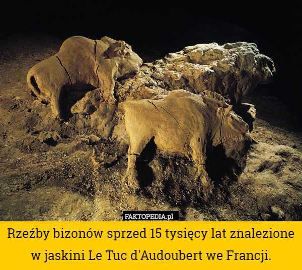Rzeźby bizonów sprzed 15 tysięcy lat znalezione w jaskini Le Tuc d'Audoubert we Francji. 