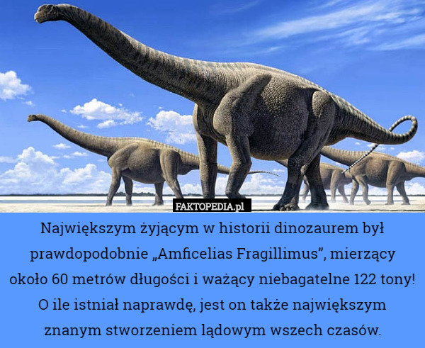 Największym żyjącym w historii dinozaurem był prawdopodobnie „Amficelias Fragillimus”, mierzący około 60 metrów długości i ważący niebagatelne 122 tony!
O ile istniał naprawdę, jest on także największym znanym stworzeniem lądowym wszech czasów. 