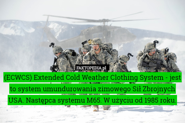 (ECWCS) Extended Cold Weather Clothing System - jest to system umundurowania zimowego Sił Zbrojnych USA. Następca systemu M65. W użyciu od 1985 roku. 