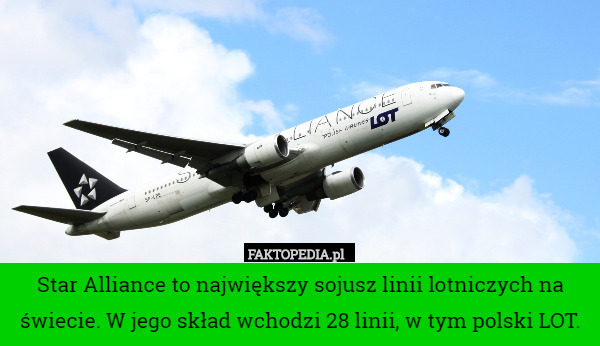 Star Alliance to największy sojusz linii lotniczych na świecie. W jego skład wchodzi 28 linii, w tym polski LOT. 