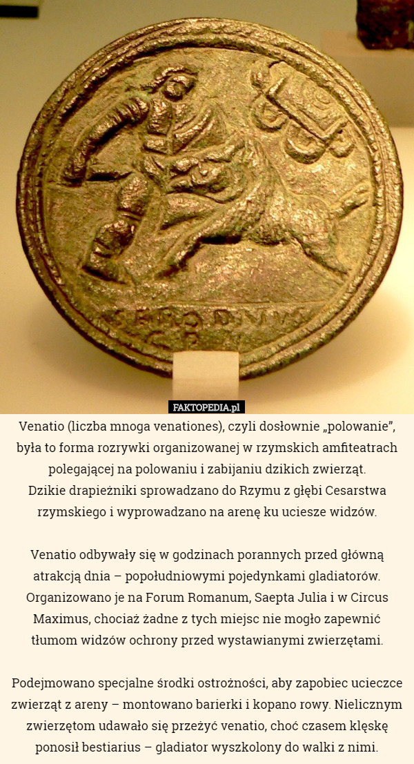 Venatio (liczba mnoga venationes), czyli dosłownie „polowanie”, była to forma rozrywki organizowanej w rzymskich amfiteatrach polegającej na polowaniu i zabijaniu dzikich zwierząt.
 Dzikie drapieżniki sprowadzano do Rzymu z głębi Cesarstwa rzymskiego i wyprowadzano na arenę ku uciesze widzów.

 Venatio odbywały się w godzinach porannych przed główną atrakcją dnia – popołudniowymi pojedynkami gladiatorów. Organizowano je na Forum Romanum, Saepta Julia i w Circus Maximus, chociaż żadne z tych miejsc nie mogło zapewnić tłumom widzów ochrony przed wystawianymi zwierzętami.

 Podejmowano specjalne środki ostrożności, aby zapobiec ucieczce zwierząt z areny – montowano barierki i kopano rowy. Nielicznym zwierzętom udawało się przeżyć venatio, choć czasem klęskę ponosił bestiarius – gladiator wyszkolony do walki z nimi. 
