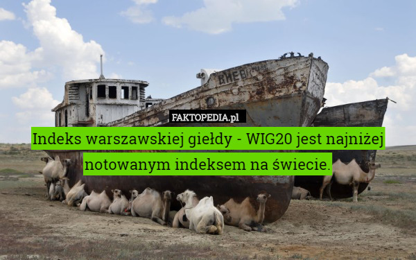 Indeks warszawskiej giełdy - WIG20 jest najniżej notowanym indeksem na świecie. 