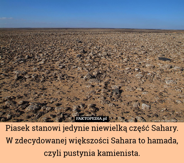 Piasek stanowi jedynie niewielką część Sahary. W zdecydowanej większości Sahara to hamada, czyli pustynia kamienista. 