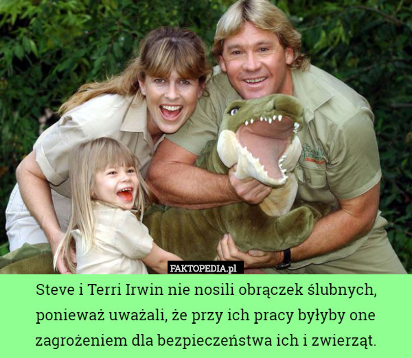 Steve i Terri Irwin nie nosili obrączek ślubnych, ponieważ uważali, że przy ich pracy byłyby one zagrożeniem dla bezpieczeństwa ich i zwierząt. 