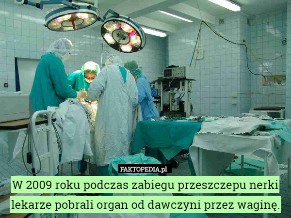 W 2009 roku podczas zabiegu przeszczepu nerki lekarze pobrali organ od dawczyni przez waginę. 