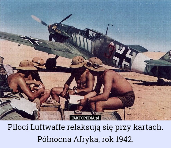 Piloci Luftwaffe relaksują się przy kartach. Północna Afryka, rok 1942. 