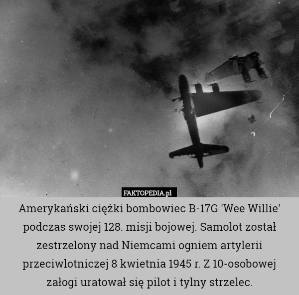 Amerykański ciężki bombowiec B-17G 'Wee Willie' podczas swojej 128. misji bojowej. Samolot został zestrzelony nad Niemcami ogniem artylerii przeciwlotniczej 8 kwietnia 1945 r. Z 10-osobowej załogi uratował się pilot i tylny strzelec. 