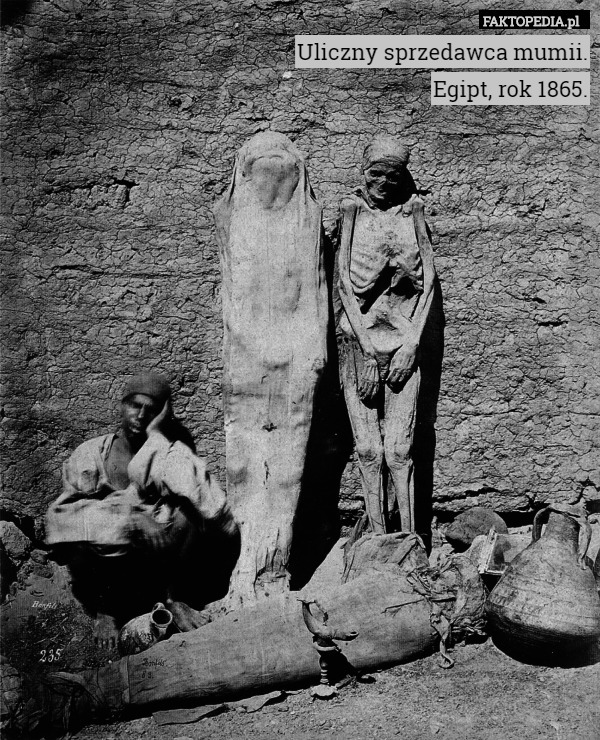 Uliczny sprzedawca mumii.
Egipt, rok 1865. 