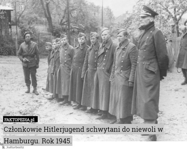 Członkowie Hitlerjugend schwytani do niewoli w Hamburgu. Rok 1945. 