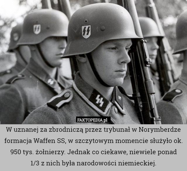 W uznanej za zbrodniczą przez trybunał w Norymberdze formacja Waffen SS, w szczytowym momencie służyło ok. 950 tys. żołnierzy. Jednak co ciekawe, niewiele ponad
 1/3 z nich była narodowości niemieckiej. 