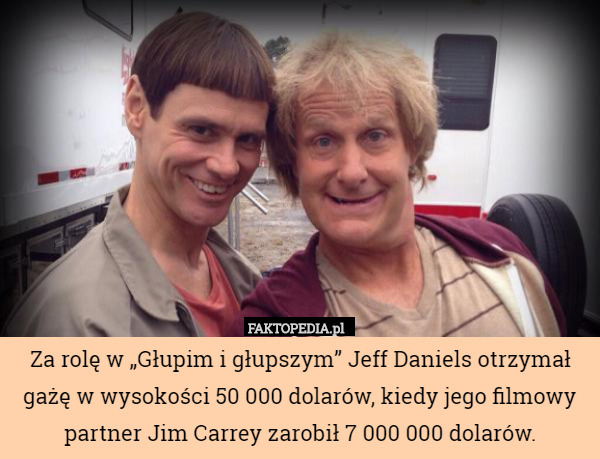 Za rolę w „Głupim i głupszym” Jeff Daniels otrzymał gażę w wysokości 50 000 dolarów, kiedy jego filmowy partner Jim Carrey zarobił 7 000 000 dolarów. 